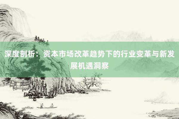 深度剖析：资本市场改革趋势下的行业变革与新发展机遇洞察